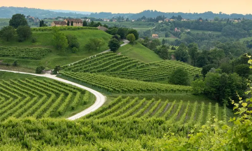 Design ohne Titel (48)