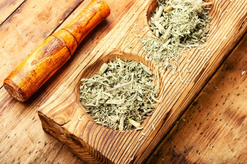 Design ohne Titel (81)